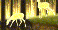Deer Animation